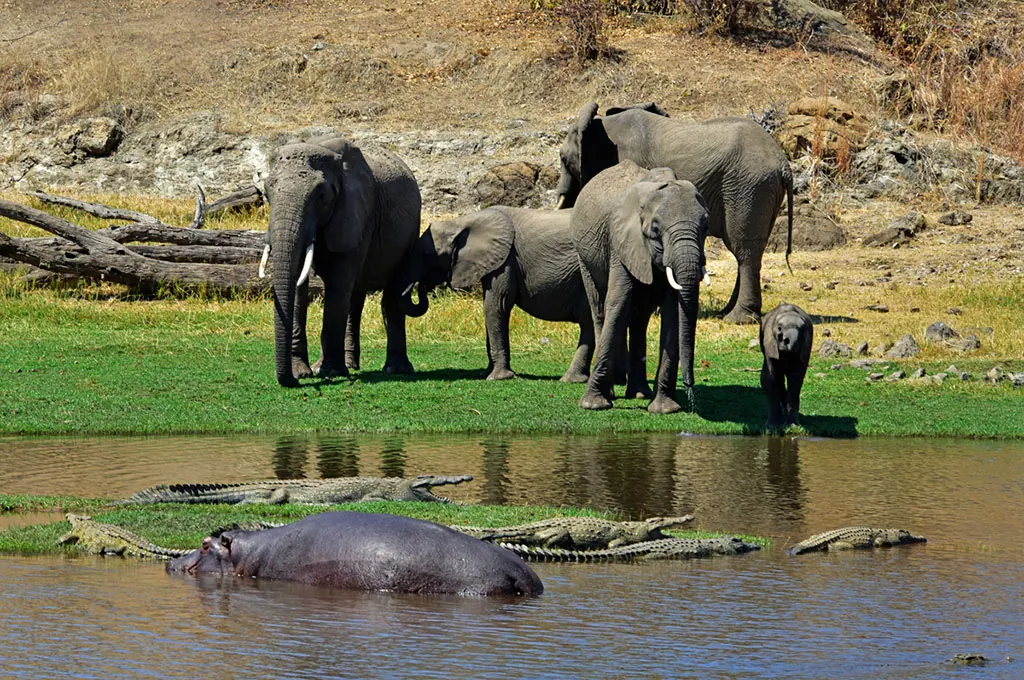Southern Tanzania