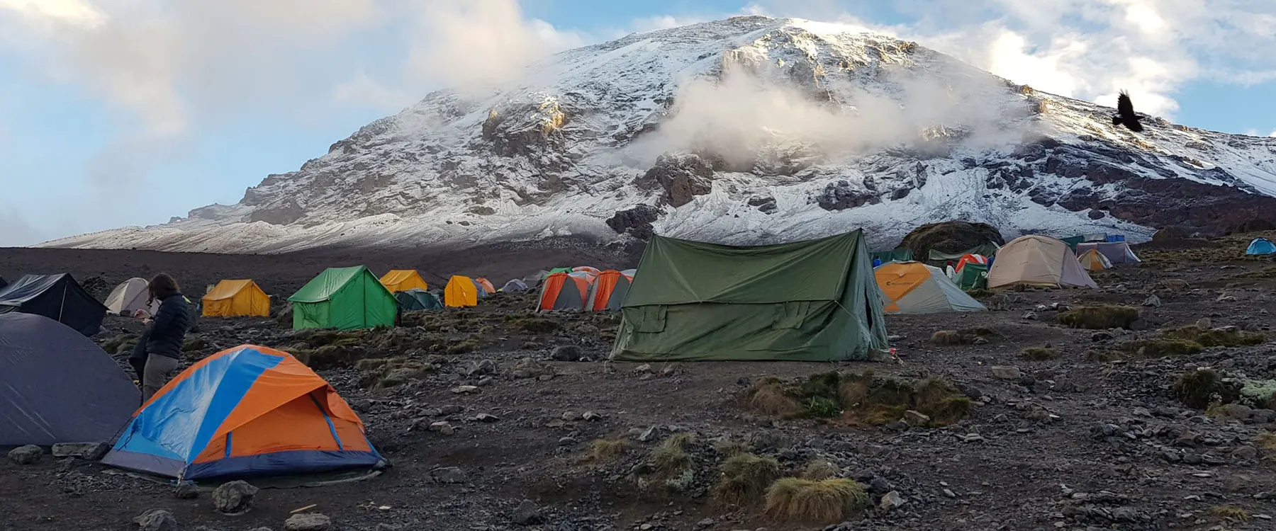 3 Days Budget Camping Kilimanjaro & Safari Private Tour