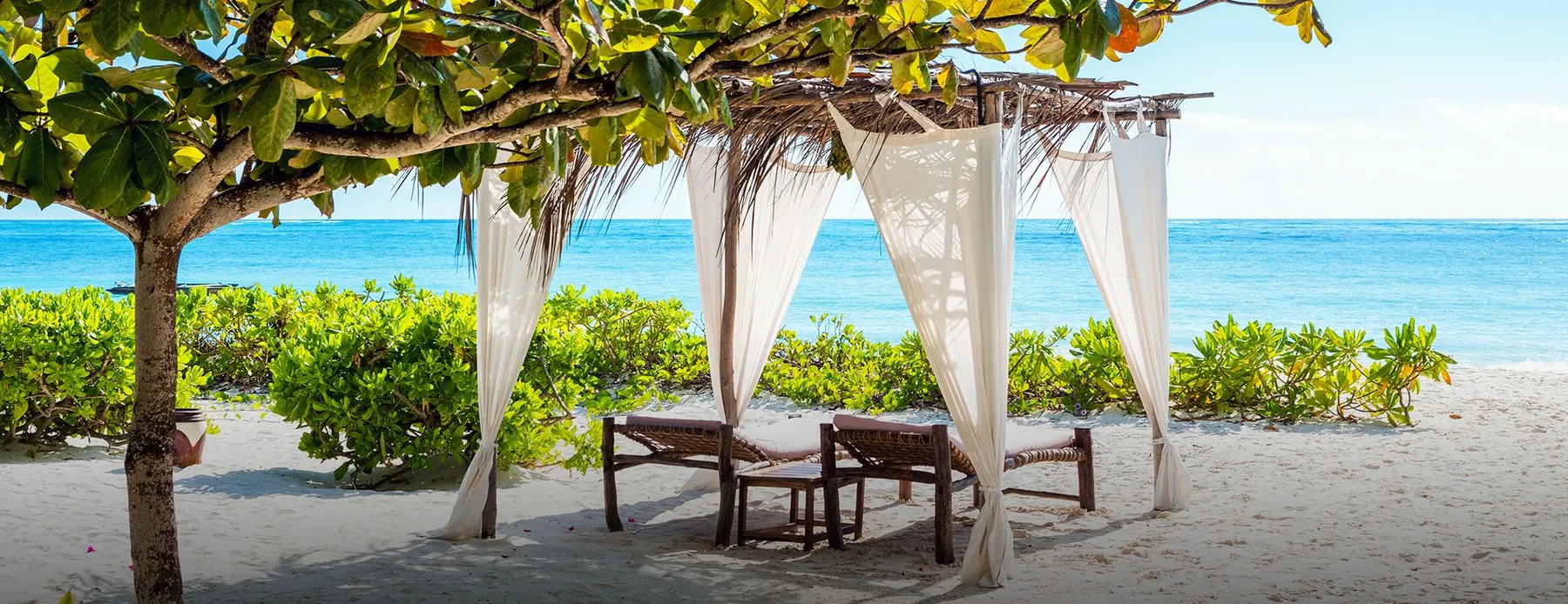 Zanzibar Travel Guide