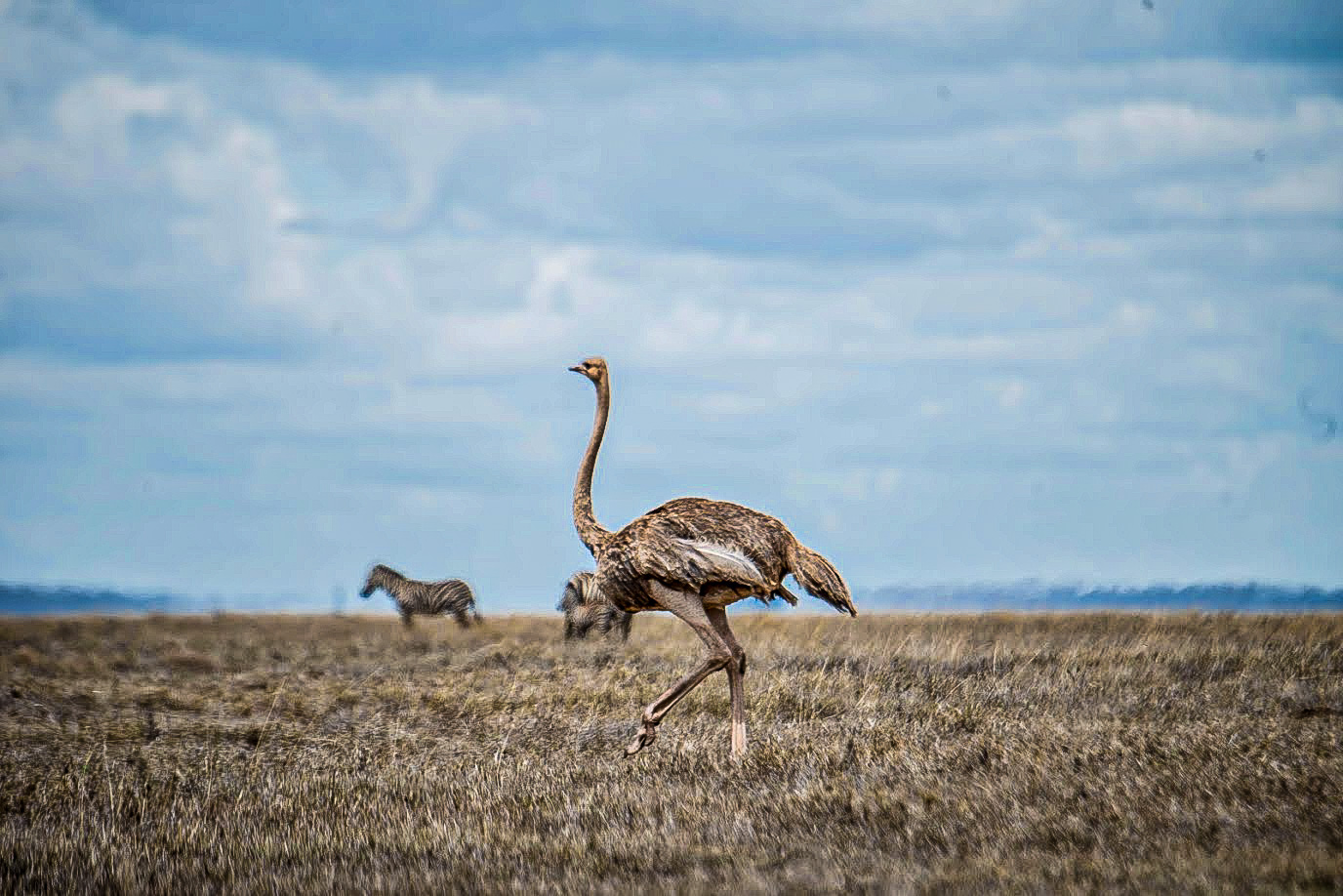 3 Days Lake Natron & Ol Doinyo Lengai