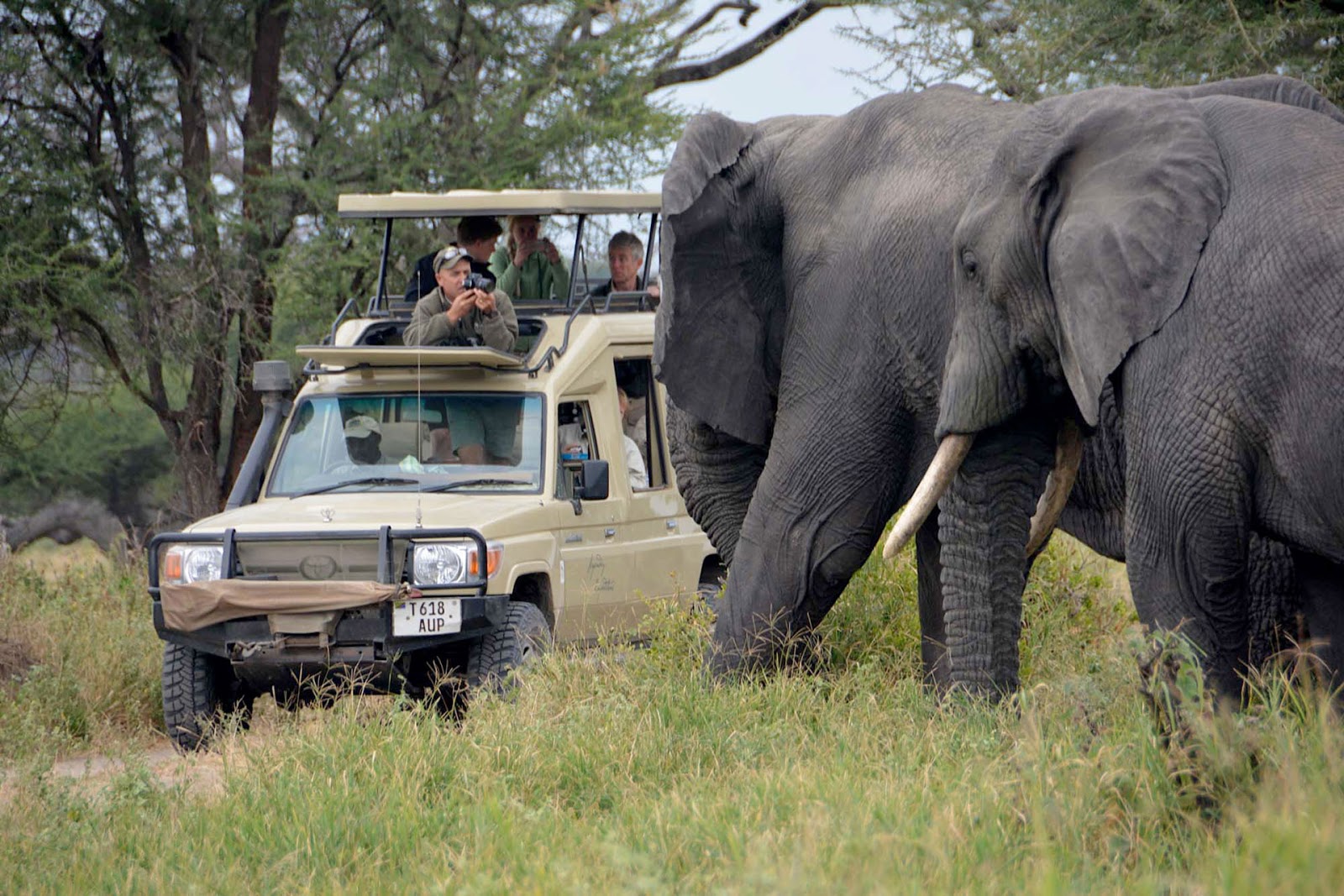 7 Days Luxury Tanzania Safari
