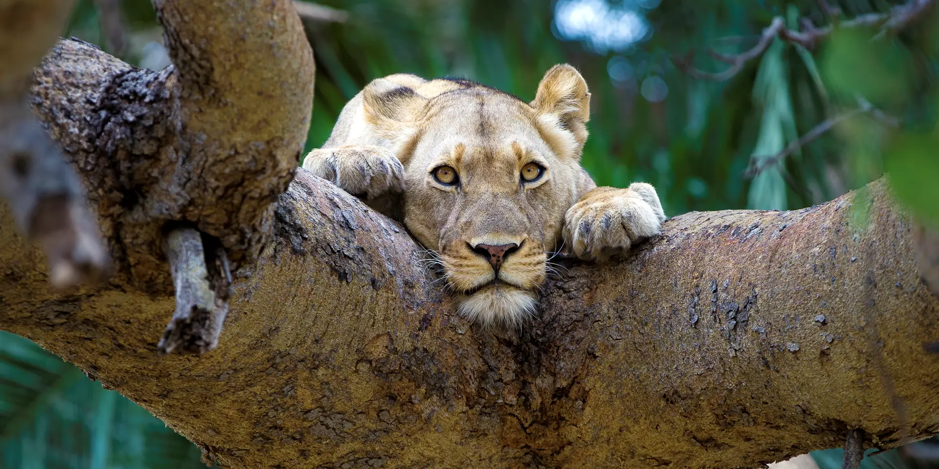 Top Tanzania Destinations