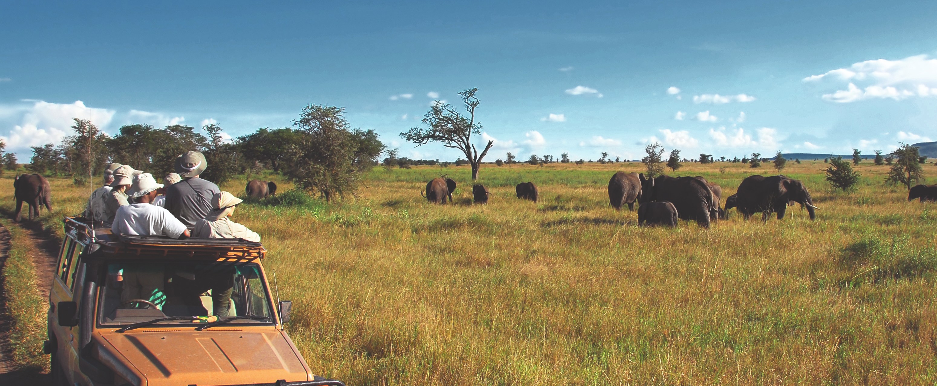Serengeti vs Ngorongoro: Which Safari Is Better?